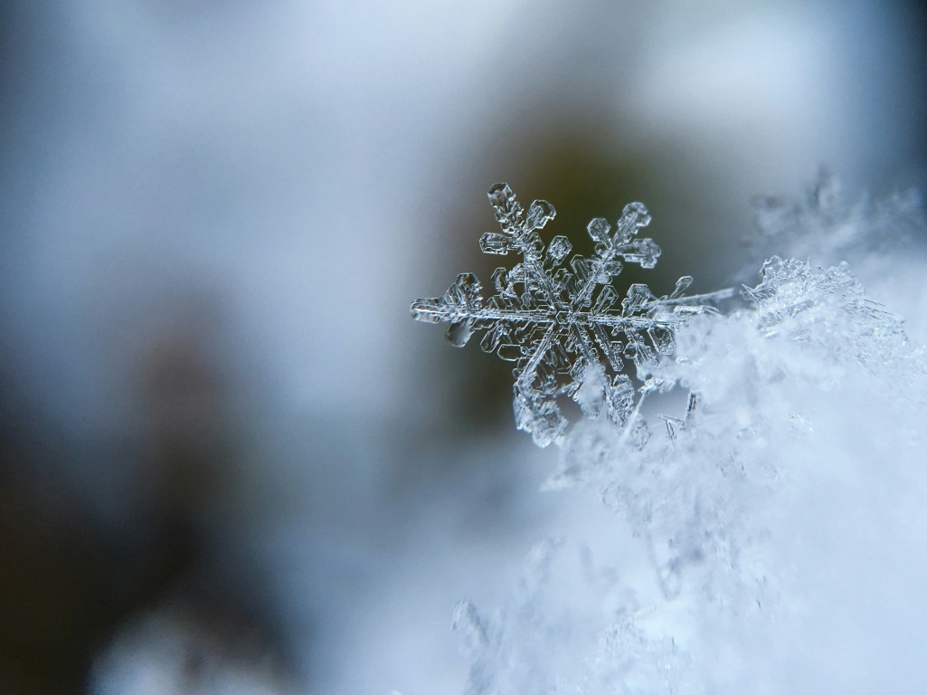 Natur genie&szlig;en im Winterurlaub am Dirtlergut &copy; Aaron Burden