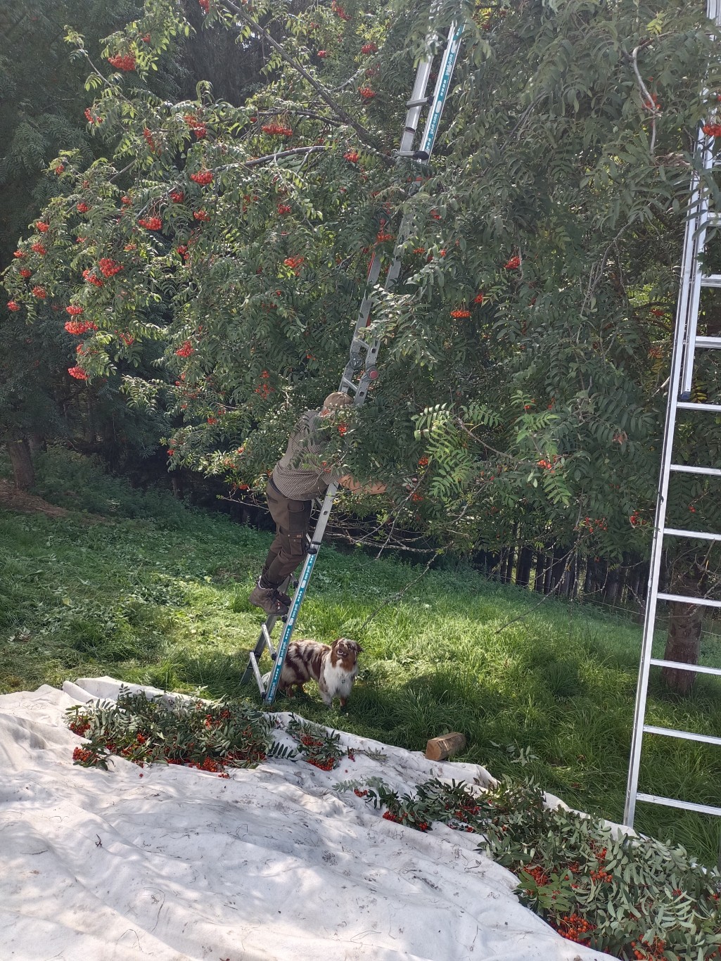 im Urlaub Hofprodukte vom Bio-Bauernhof Dirtlergut genie&szlig;en