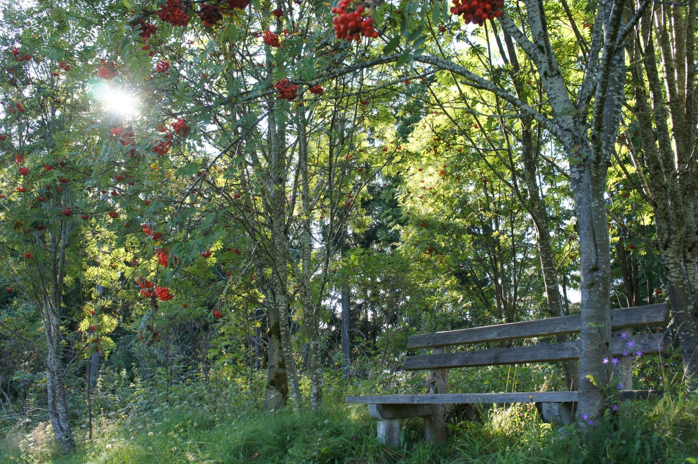 Auszeit am Biobauernhof Dirtlergut