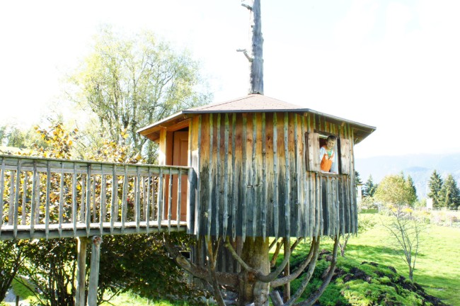 Baumhaus am Dirtlergut am Hauser Kaibling