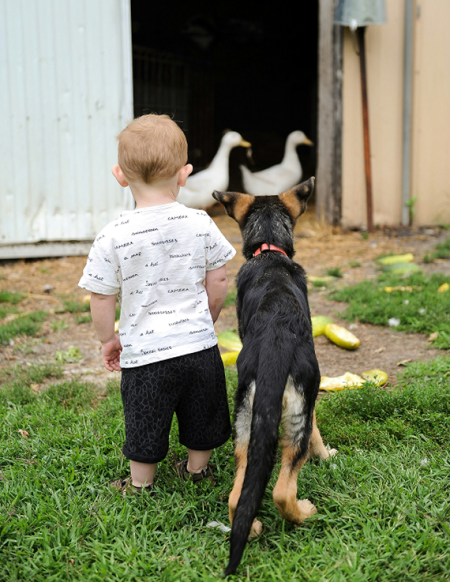 Urlaub am Dirtlergut mit Kindern &copy; Shutterstock
