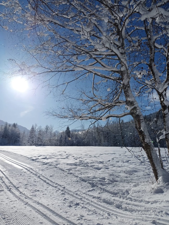 Winter-Spaziergang in Haus im Ennstal