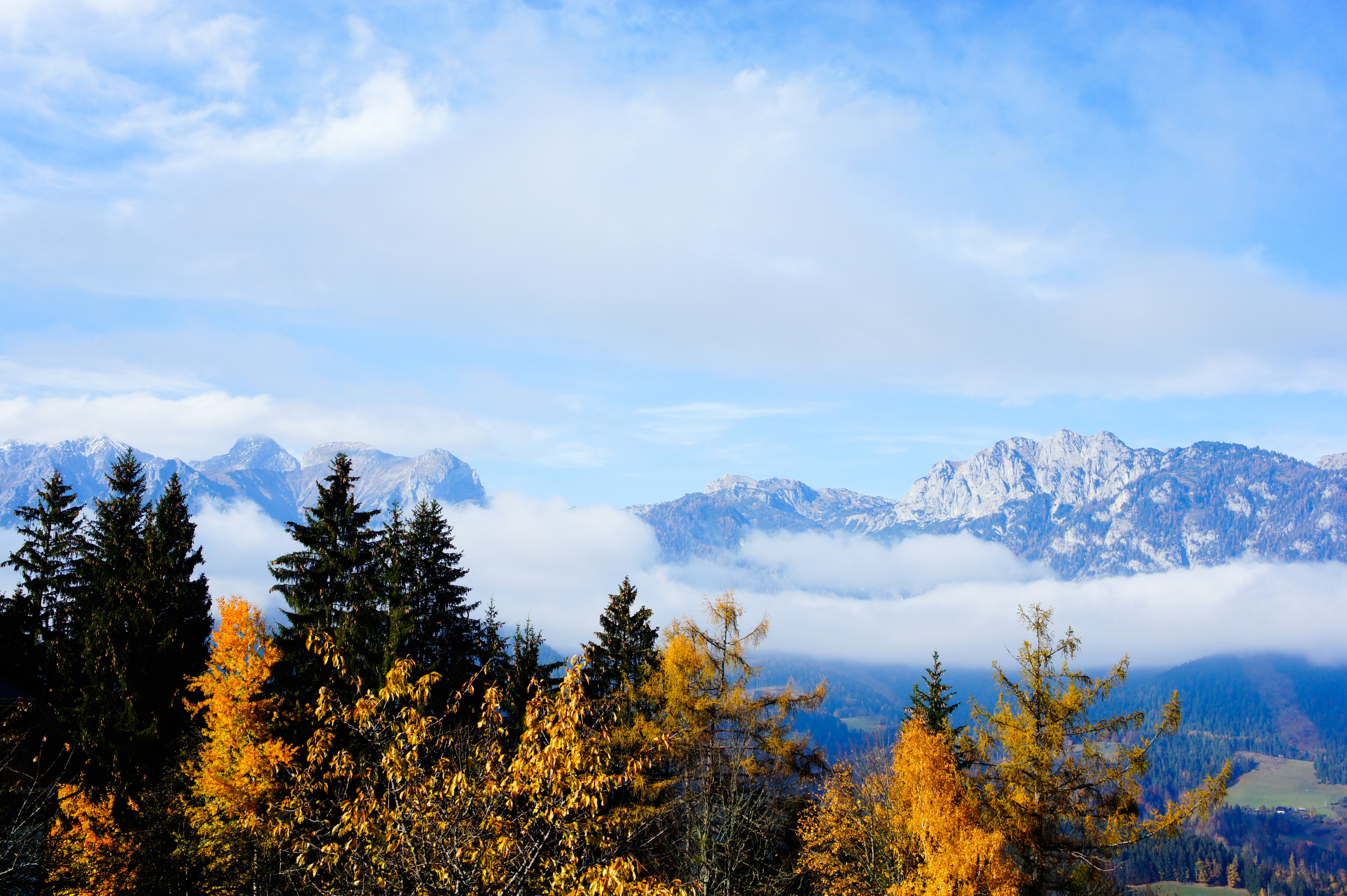 Deine Hofzeit resevieren