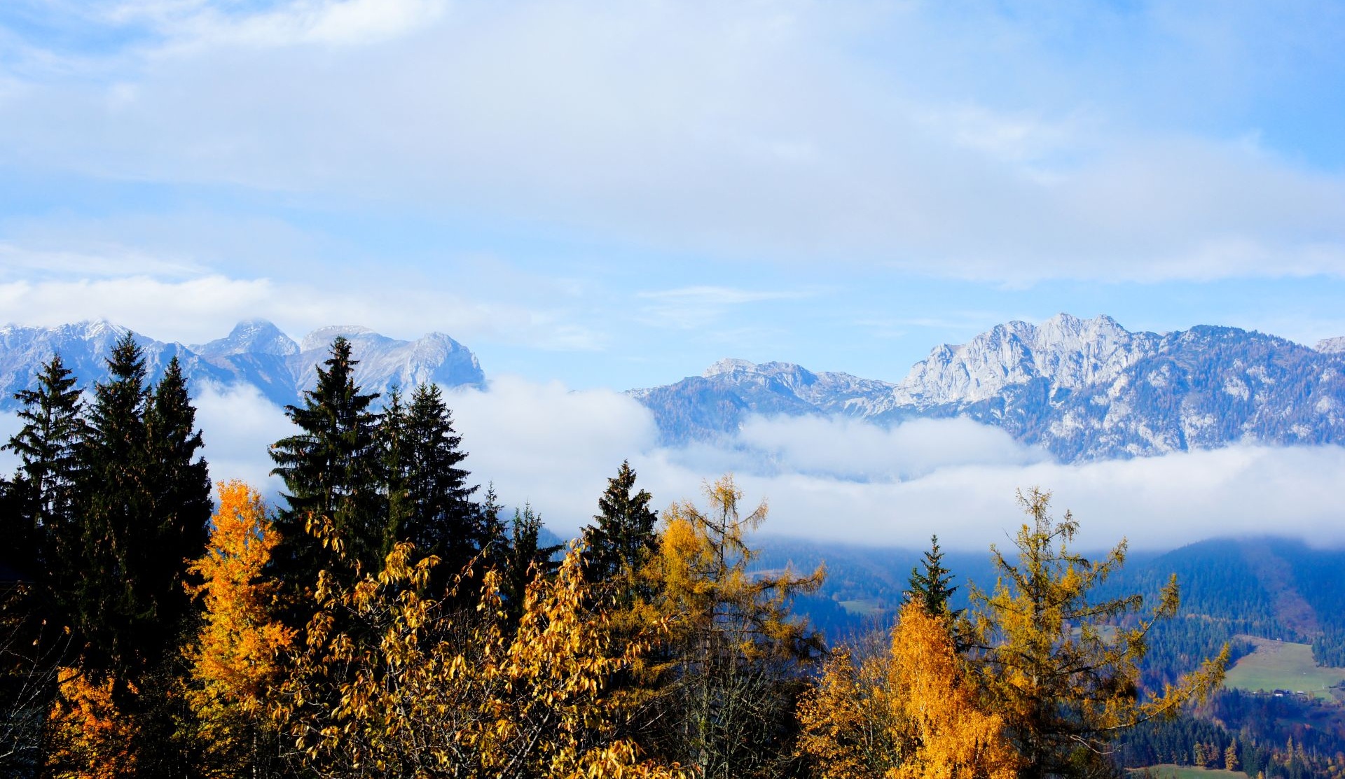 Frühstücken am Berg am Bio-Bauernhof Dirtlergut 
